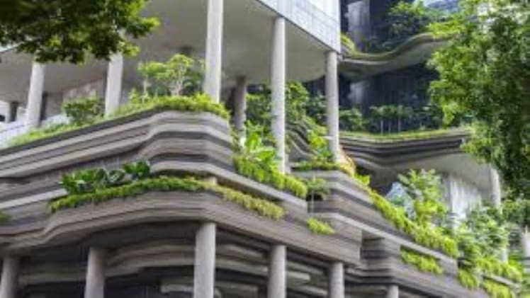 Efficient and Greener Building Cooling System You Should Not Ignore