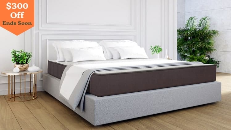 Get To The Bottom Of The Sleep Problem And Discover How To Fix It.