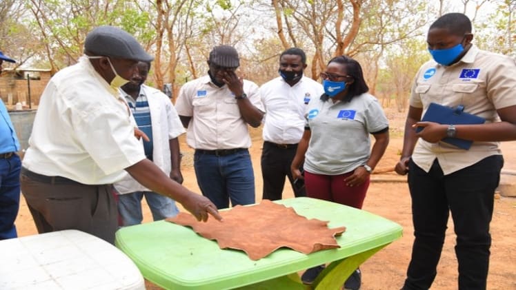 The Negative Impact of Covid-19 on Businesses in South Africa L2 001