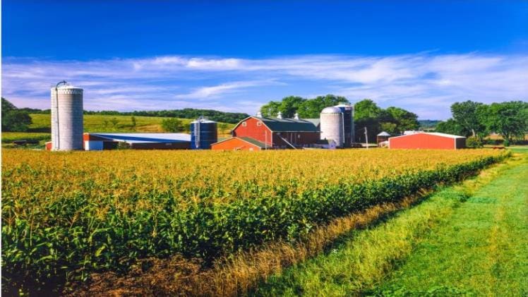 REASONS TO CONSIDER INVESTING IN A FARM IN NICOLLET COUNTY RIGHT NOW Reasons to Consider Investing in a Farm in Nicollet County Right Now